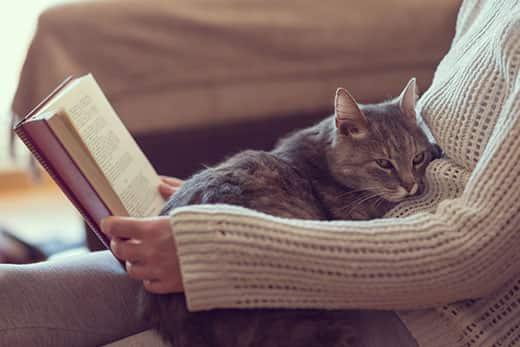 cat-on-owners-lap-while-she-reads-book-SW Cat laying on woman's lap while she reads a book.