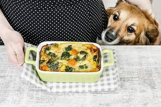 Dog sitting next to a woman in a black and white polka dot dress behind a casserole dish.