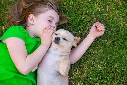 Little girl lying on her lawn with her small dog lying on his back next to her