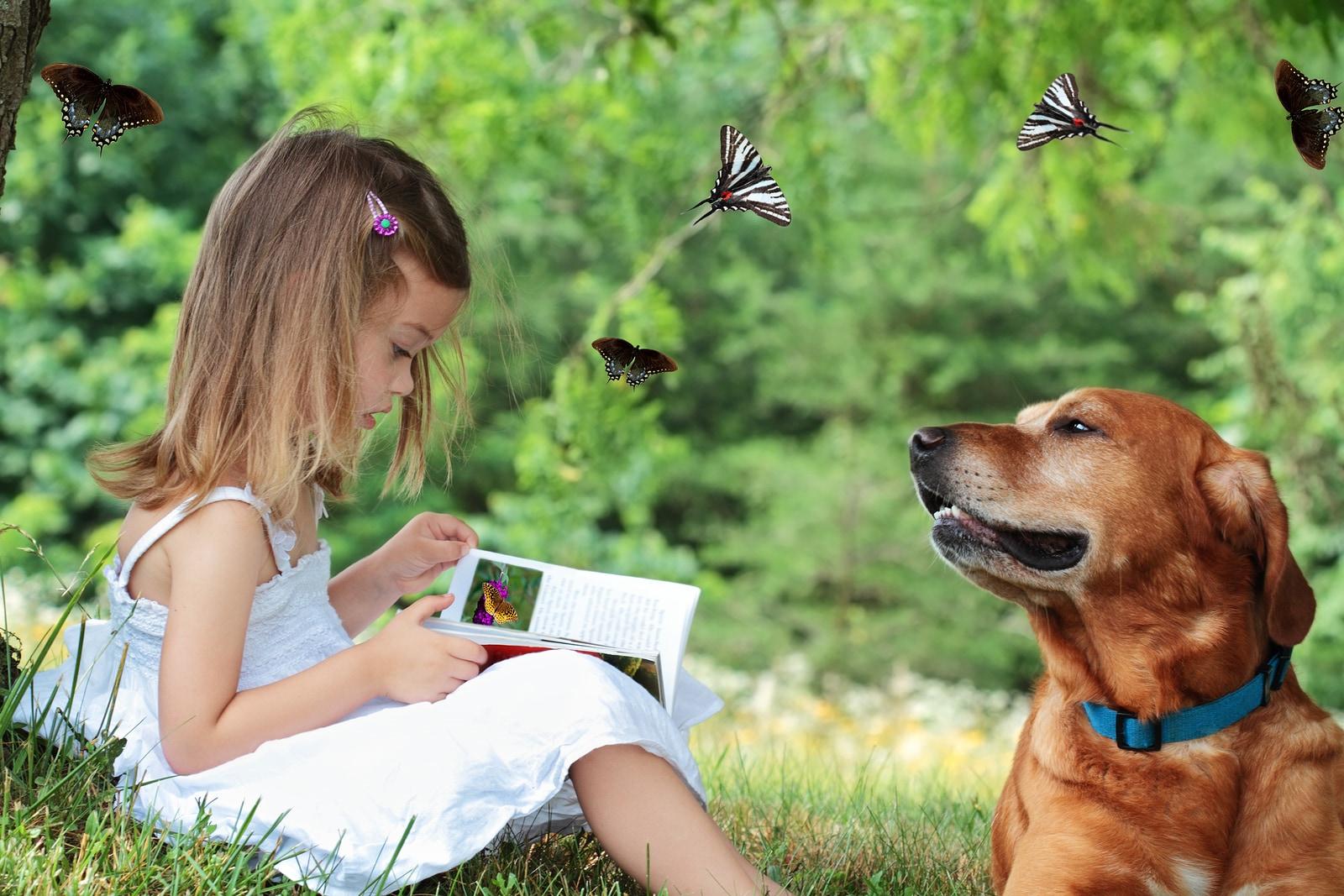 Child Reading A Book Little girl sits under a tree reading a book about butterflies as dog sits nearby watching butterflies fly around them.