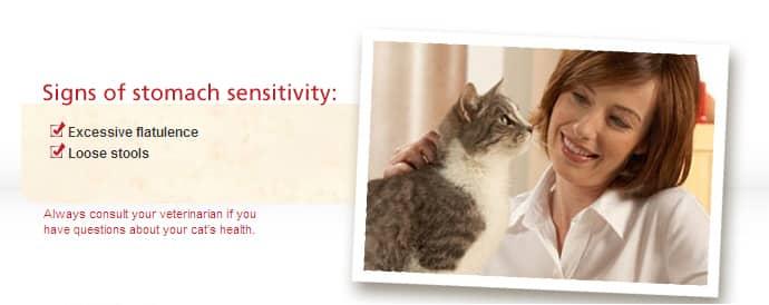 Signs of  Stomach Sensitive