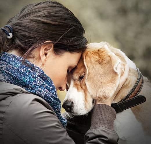 Woman presses her head against her beagle's.