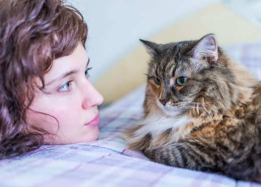 Young woman looking at maine coon cat on bed Young woman looking at maine coon cat on bed