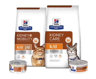 Prescription Diet Kidney care cat food range