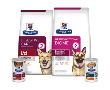 Prescription Diet Digestive care dog food range