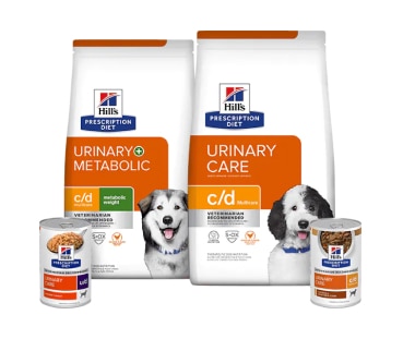 Prescription Diet Urinary care dog food range