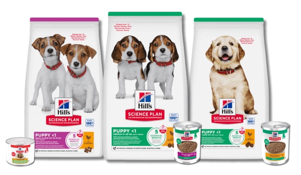 Science Diet Dry Puppy Food Bags