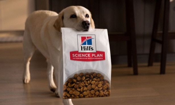 A dog carrying a hill's pet food bag